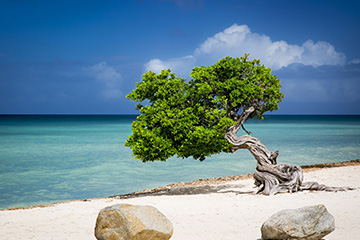 奧拉涅斯塔德（AWORA）港口代碼查詢-奧拉涅斯塔德（AWORA）港口簡介