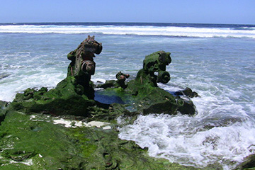 納威利威利（USNAW）港口代碼查詢-納威利威利（USNAW）港口簡介