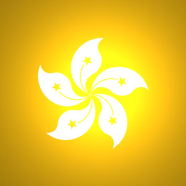 國內到香港物流,大陸至香港貨運,廣州物流到香港