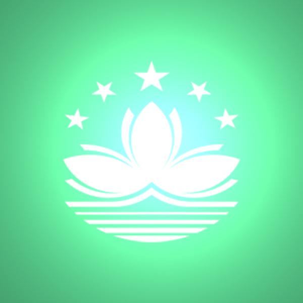 國內到澳門物流,國內至澳門貨運,國內物流到澳門