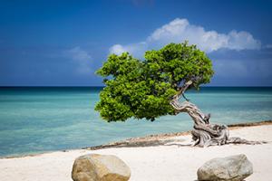 奧拉涅斯塔德（AWORA）港口代碼查詢-奧