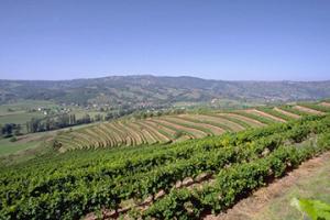 瓦利斯（WFWLS）港口代碼查詢-瓦利斯（WFWLS）港口簡介