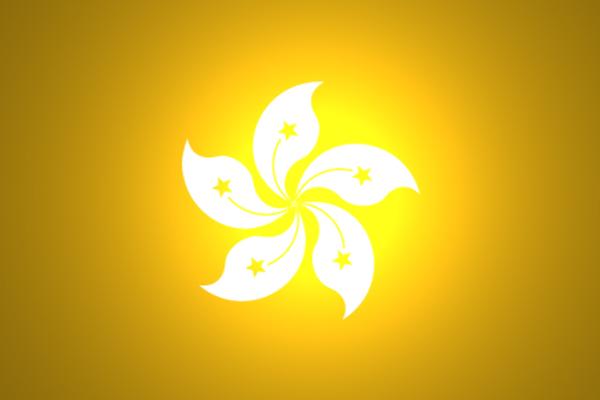 國(guó)內(nèi)到香港物流,大陸至香港貨運(yùn),廣州物流到香港