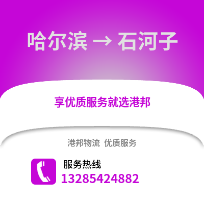 哈爾濱到石河子物流專線_哈爾濱到石河子貨運專線公司