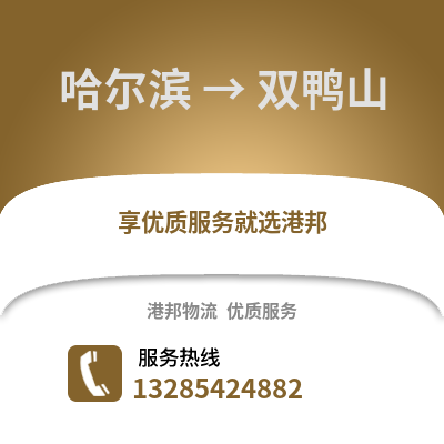 哈爾濱到雙鴨山物流專線_哈爾濱到雙鴨山貨運(yùn)專線公司