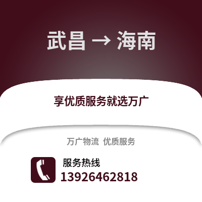 武漢武昌到海南物流專線_武漢武昌到海南貨運(yùn)專線公司