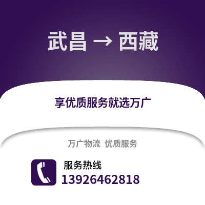 武漢武昌到西藏物流專線_武漢武昌到西藏貨運(yùn)專線公司
